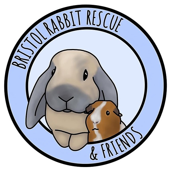 Bristol Rabbit Rescue & Friends