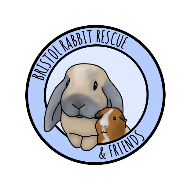 Bristol Rabbit Rescue & Friends